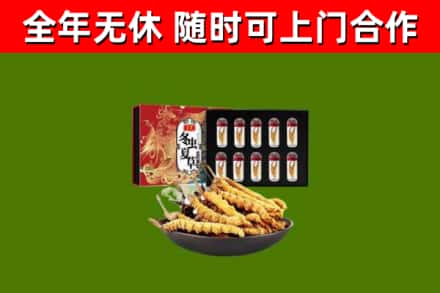 仙游县回收冬虫夏草价格