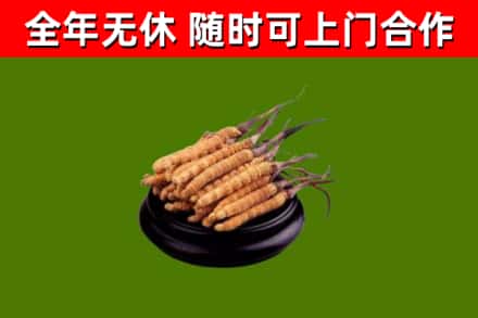 仙游县烟酒回收冬虫夏草.jpg