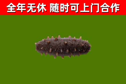 仙游县烟酒回收干海参.jpg